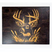 Whitetail Buck on Black Walnut