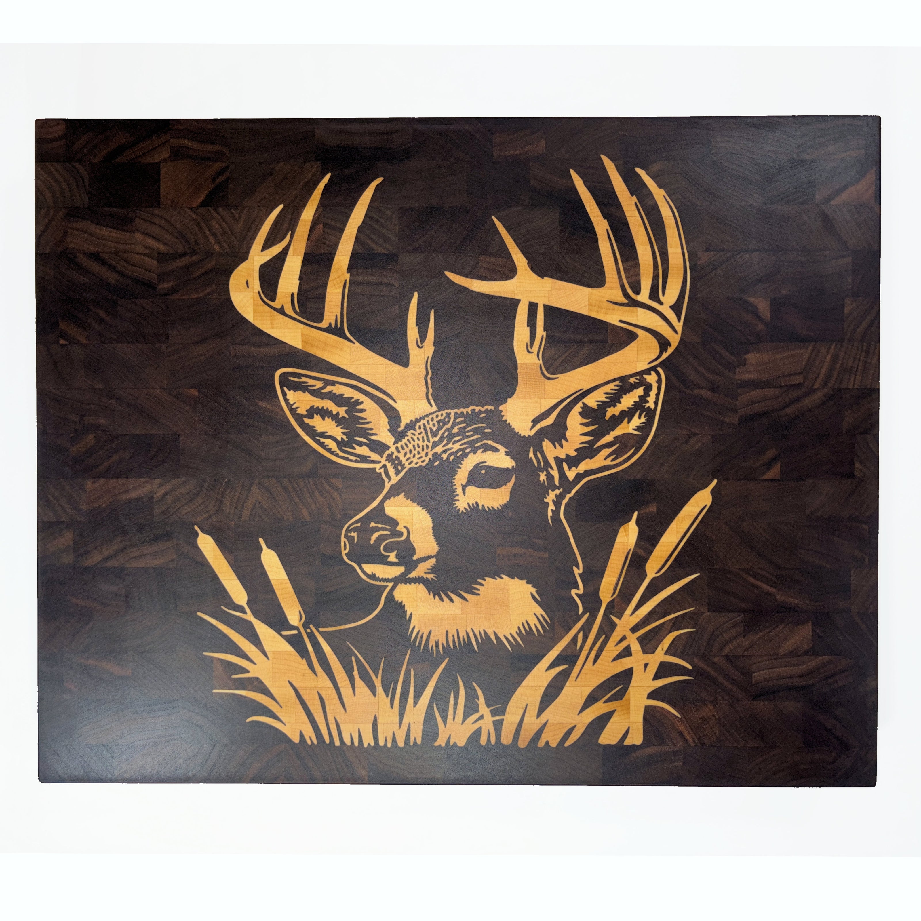 Whitetail Buck on Black Walnut
