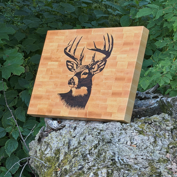 Whitetail Buck on Maple